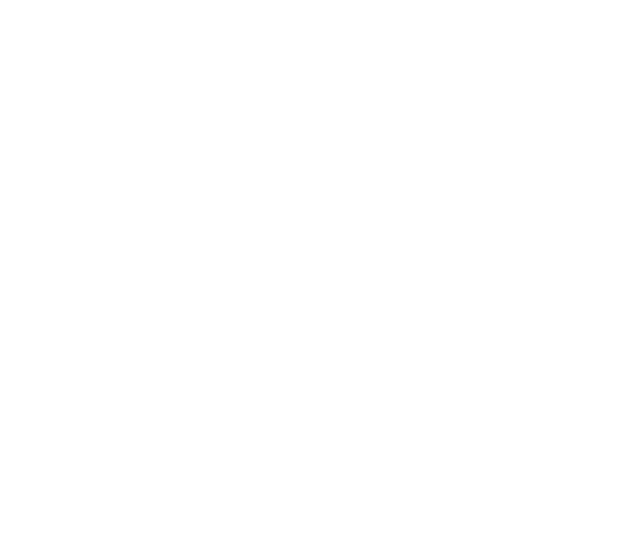 Instituto Sandra Ribeiro